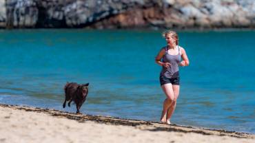 Comment réagir face à un chien lors d’un jogging ?